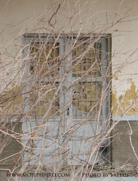 افسردگی